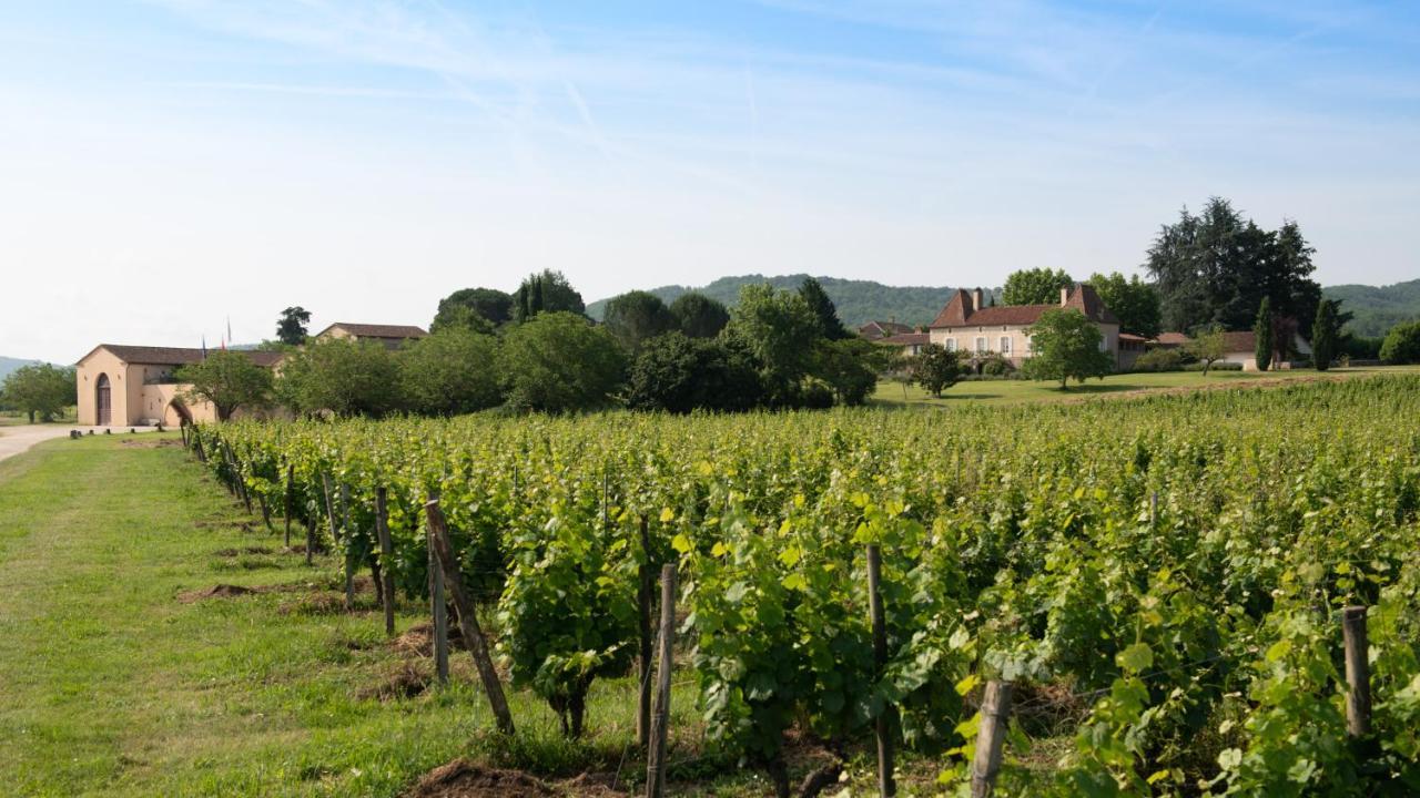Chateau Gautoul Puy-lʼÉvêque Eksteriør billede